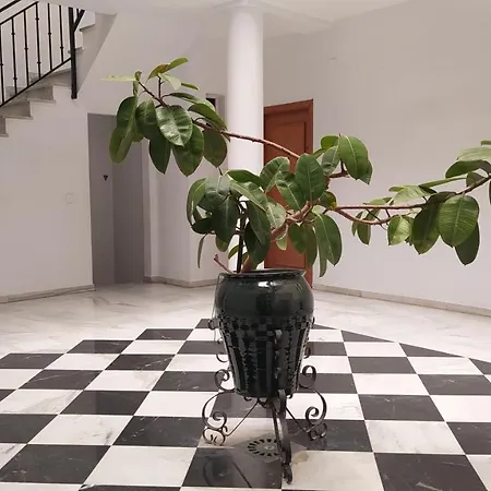 Sherryflat Palmeras 아파트